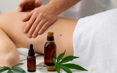 Harnessing the Power of CBD: A Natural Solution for Stress and Wellness