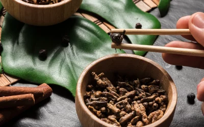 Bold Energy Meets Calm Focus: Dark Roast Instant Coffee with CBD