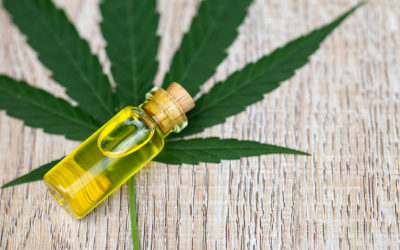The Ultimate Guide to Full-Spectrum CBD Tincture: Benefits, Usage, and More