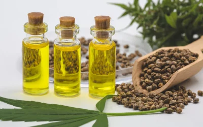 Microdose Lion’s Mane & Cordyceps: Boost Mind & Body from the Ground Up